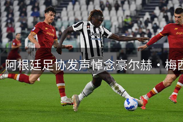 阿根廷足协发声悼念豪尔赫·梅西 向球王家庭表达深切慰问